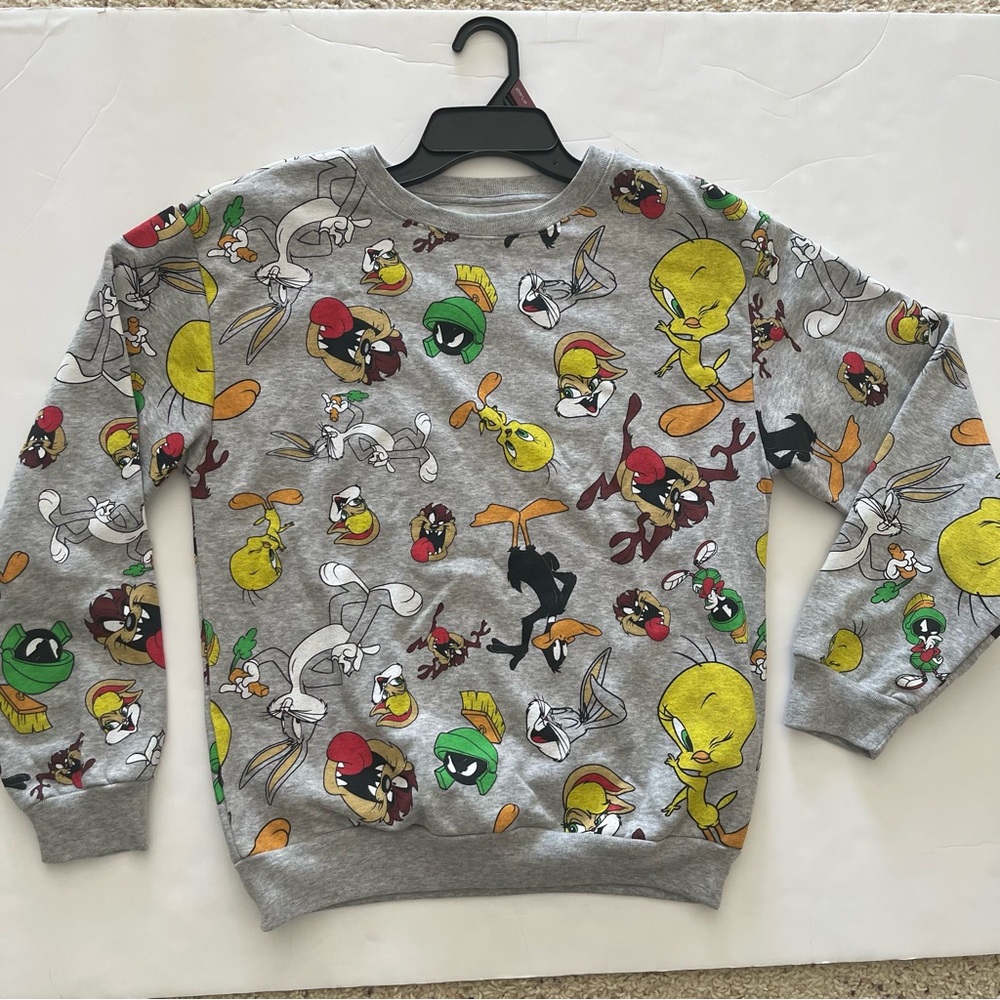 Looney Tunes Grey Graphic Sweater